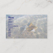 Cownose Stingray OBX Series Visitekaartje (Voorkant)