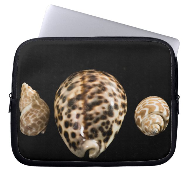 Cowrie Cones 2-laptophoes Laptop Sleeve (Voorkant)