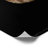 Cowrie Cones 2 Poster (Hoek)