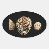 Cowrie Cones 2 Sticker (Voorkant)