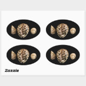 Cowrie Cones 2 Sticker (Vel)