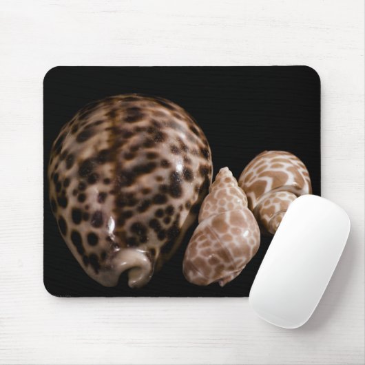 Cowrie Cones Mousepad Muismat (Met muis)