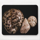 Cowrie Cones Mousepad Muismat (Voorkant)