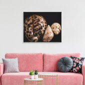 Cowrie Cones Wrapped Canvas (Insitu (Woonkamer))