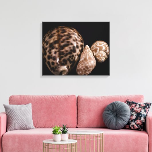 Cowrie Cones Wrapped Canvas (Insitu (Woonkamer))