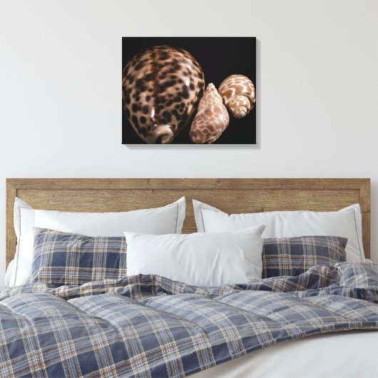 Cowrie Cones Wrapped Canvas (Insitu (Slaapkamer))