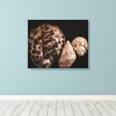 Cowrie Cones Wrapped Canvas Afdruk (Insitu (Houten vloer))