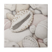 Cowrie en Abalone Shells en Pebbles Ceramic Tile Tegeltje (Voorkant)