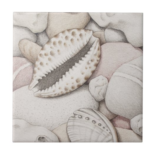 Cowrie en Abalone Shells en Pebbles Ceramic Tile Tegeltje (Voorkant)