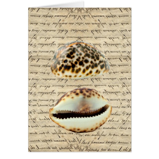 Cowriesgranaten (Voorkant)