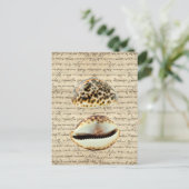 Cowriesgranaten Briefkaart (Staand voorkant)