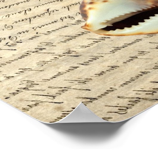 Cowriesgranaten Poster (Hoek)