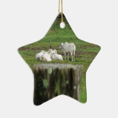 COWS BRAHMAN EN FENCE POST RURAL AUSTRALIË KERAMISCH ORNAMENT (Rechts)