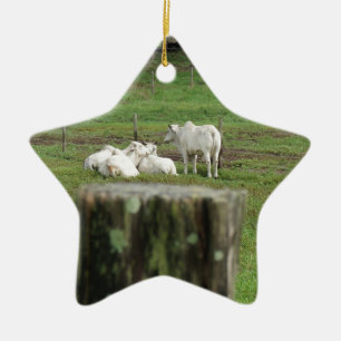 COWS BRAHMAN EN FENCE POST RURAL AUSTRALIË KERAMISCH ORNAMENT