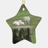 COWS BRAHMAN EN FENCE POST RURAL AUSTRALIË KERAMISCH ORNAMENT (Links)