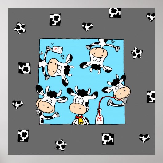 Cows drinking milk poster (Voorkant)