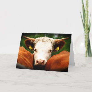 Cows Head Kaart