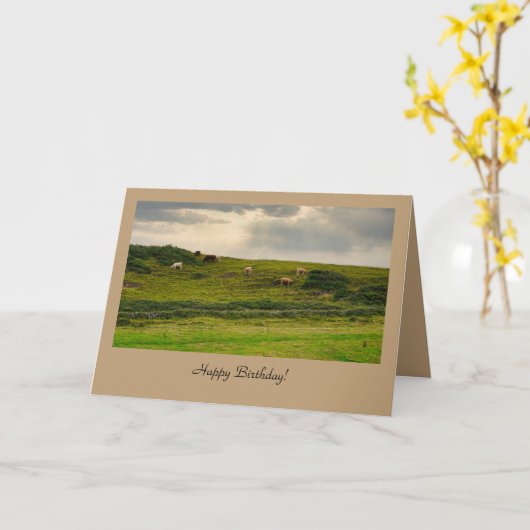 Cows in Pasture Birthday Greeting Card  Kaart (Gele Bloem)