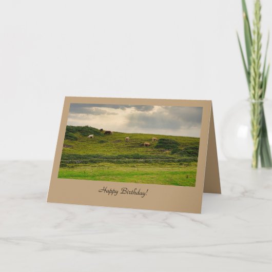 Cows in Pasture Birthday Greeting Card  Kaart (Voorkant)