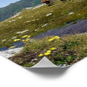 Cows In The Mountains Poster (Hoek)