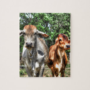COWS PLRAL QUEENSLAND AUSTRALIA ART EFFECTEN LEGPUZZEL