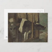Cowshed van Paula Modersohn-Becker Briefkaart (Voorkant / Achterkant)