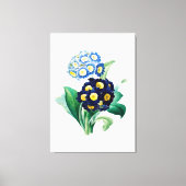  Cowslip Primrose botanisch Canvas Afdruk (Voorkant)