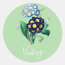 Cowslip Primrose botanisch