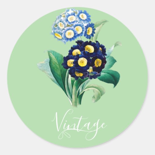 Cowslip Primrose botanisch Ronde Sticker (Voorkant)