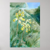 Cowslips Primula veris op een grassy bank Poster (Voorkant)