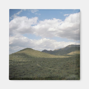 Cowyboy Skyline Desert Refkoelkast Magnet