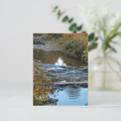 Cox Brook briefkaart (Staand voorkant)