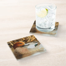 Coy glimlacht Euraziatische Wigeon Duck op de Pond