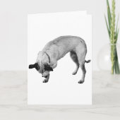 Coy Paw, Warme Wensen Kaart (Voorkant)