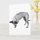 Coy Paw, Warme Wensen Kaart (Gele Bloem)