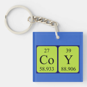 Coy periodieke lijstnaam keying sleutelhanger