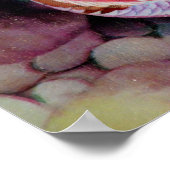 Coy Pond  Japanse kunst Poster (Hoek)