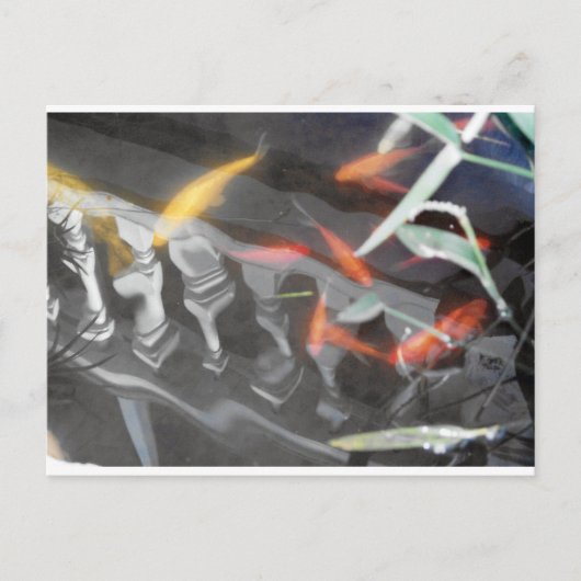 Coy Reflection Briefkaart (Voorkant)