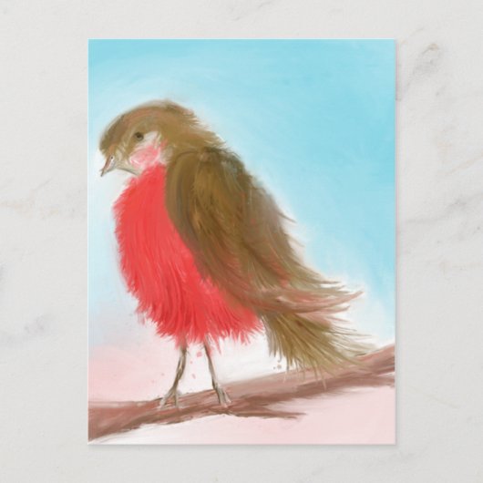 Coy Robin Briefkaart (Voorkant)