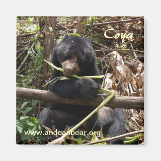 Coya Magnet