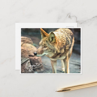 Coyote ポストカード briefkaart