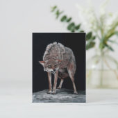 Coyote 2 briefkaart (Staand voorkant)