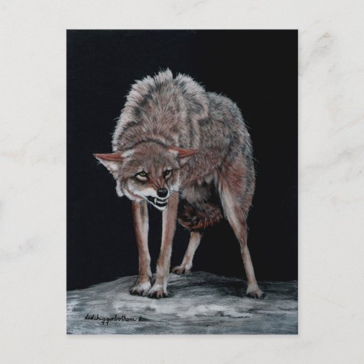 Coyote 2 briefkaart (Voorkant)