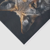 Coyote 4 Decoupage papier (Detail)