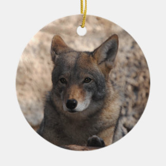 Coyote Beauful Keramisch Ornament