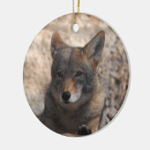 Coyote Beauful Keramisch Ornament (Links)