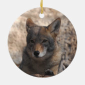 Coyote Beauful Keramisch Ornament (Achterkant)