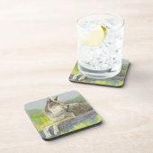 Coyote Beverage Coaster Bier Onderzetter (Rechterzijde)