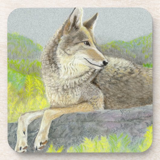 Coyote Beverage Coaster Bier Onderzetter (Voorkant)