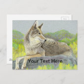 Coyote Briefkaart (Voorkant / Achterkant)